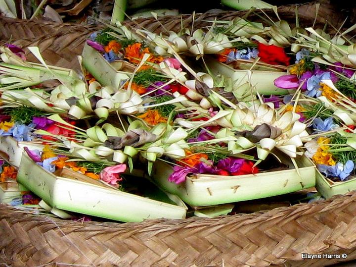 EHA91298.JPG - quelques uns des 150 "offerings" fait par chaque famille