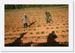 mga_4506 * Les cowboys passent et sont salus * 3072 x 2048 * (2.73MB)